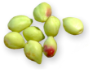 Kakadu Plum